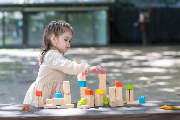 Blocuri-creative-PlanToys-1 Blocuri creative l Creative Blocks