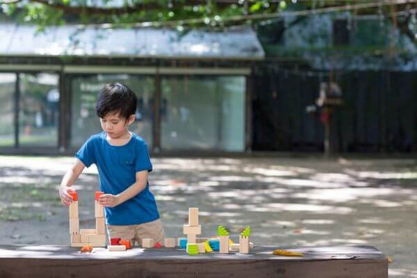 Blocuri-creative-PlanToys-2 Blocuri creative l Creative Blocks