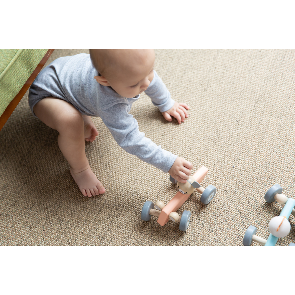 Masina-de-curse-cu-pui-PlanToys-1 Mașină de curse cu pui | Chicken Racing Car