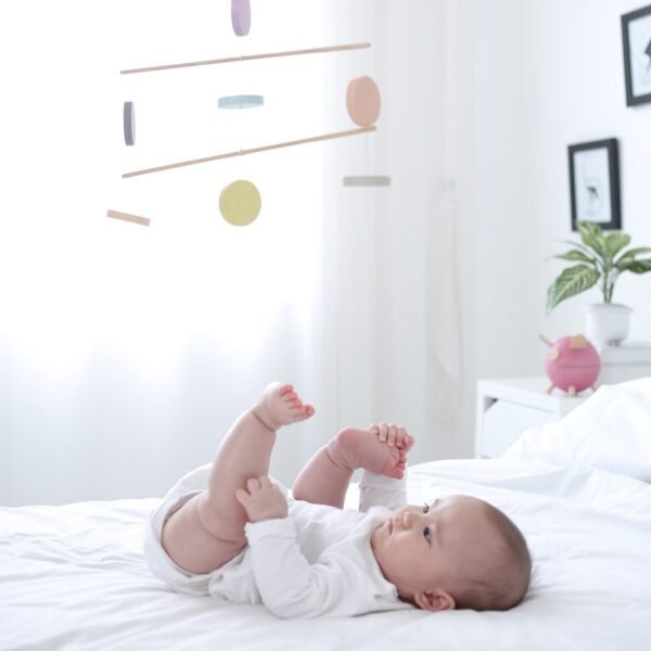 Mobil-PlanToys Mobil