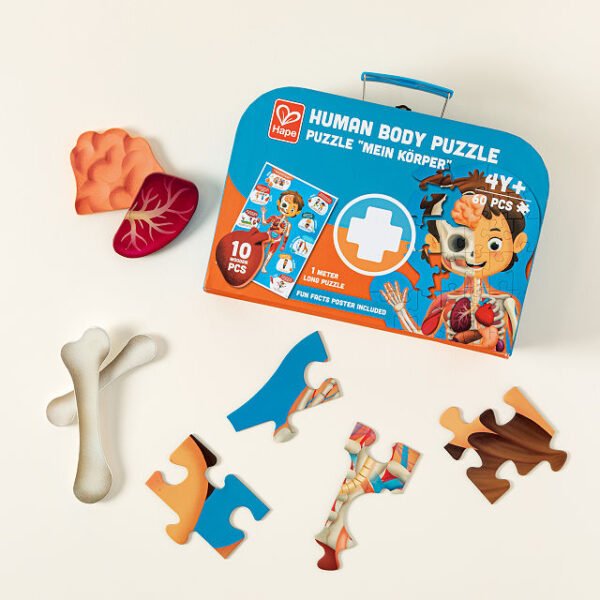 Puzzle-ul-corpului-uman-Hape Puzzle-ul corpului uman