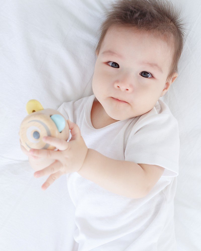 Rola-Peek-A-Boo-PlanToys-1 Rolă Peek-A-Boo | Peek-A-Boo Roller