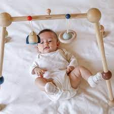 Sala-de-sport-PlanToys-2 Sală de sport | Play Gym