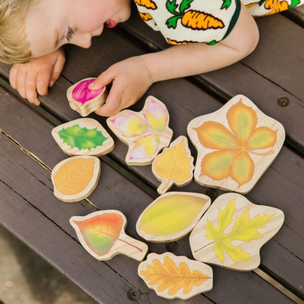 Stivuirea-frunzelor-The-Freckled-Frog Stivuirea frunzelor